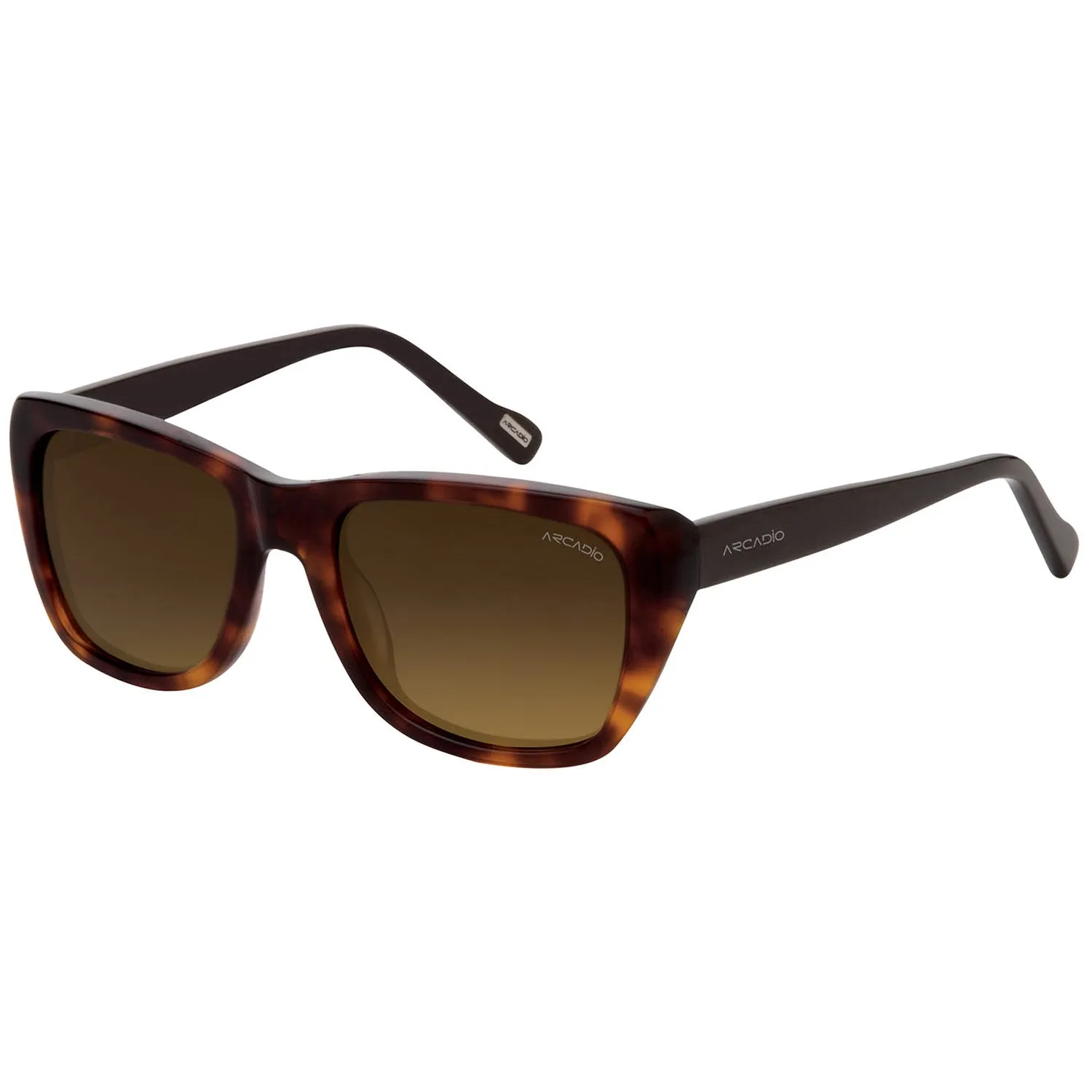 ALLEY Modified Cat-Eye Sunglass for Women AR174