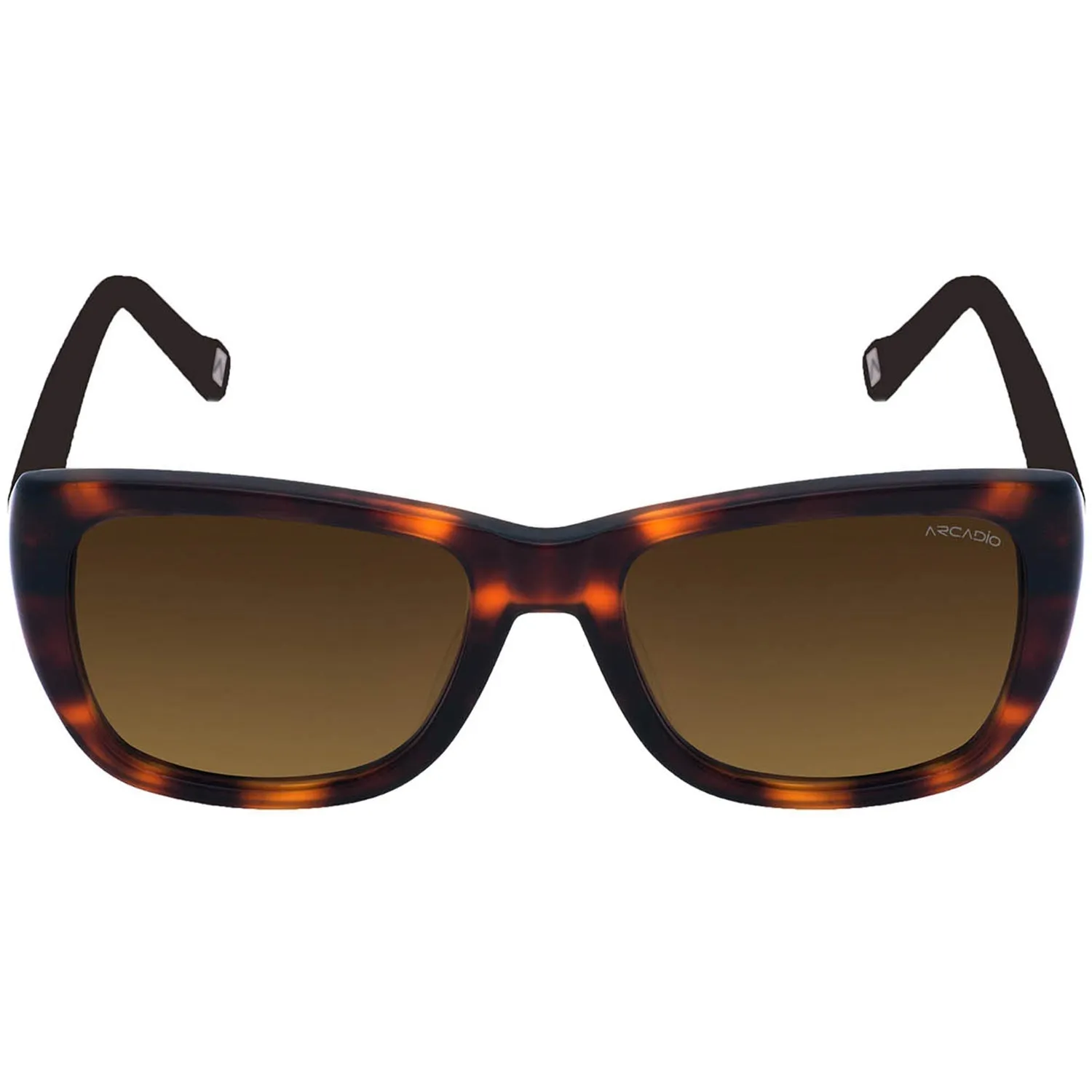 ALLEY Modified Cat-Eye Sunglass for Women AR174