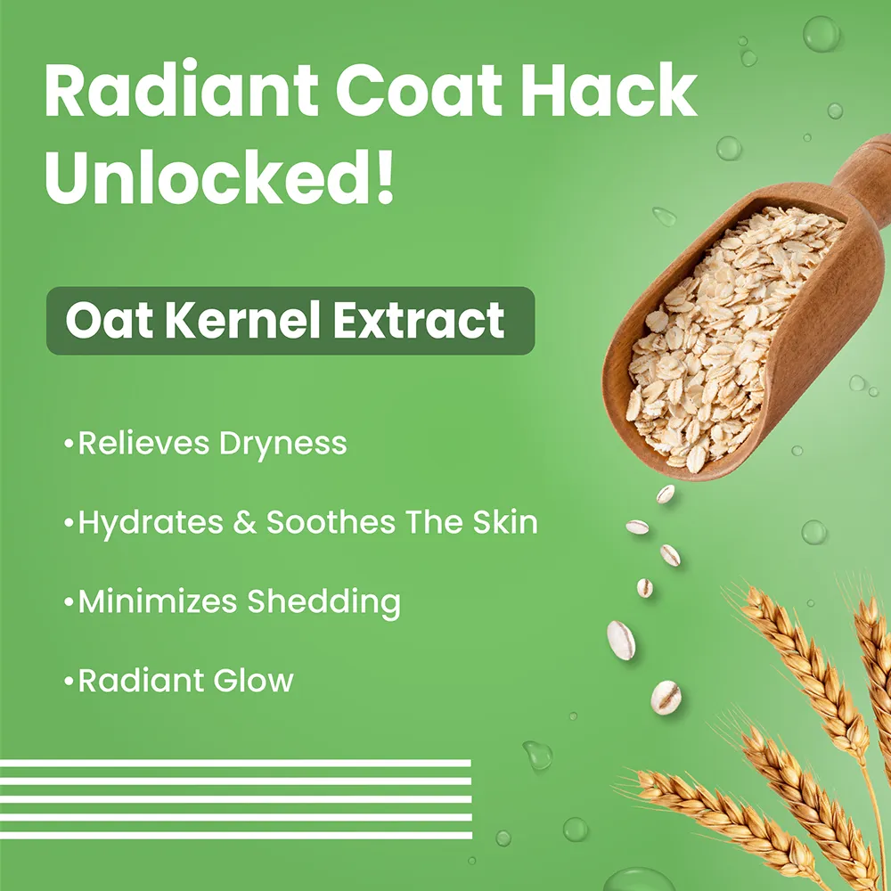 Bark Out Loud Healthy Shiny Coat Shampoo for Dogs