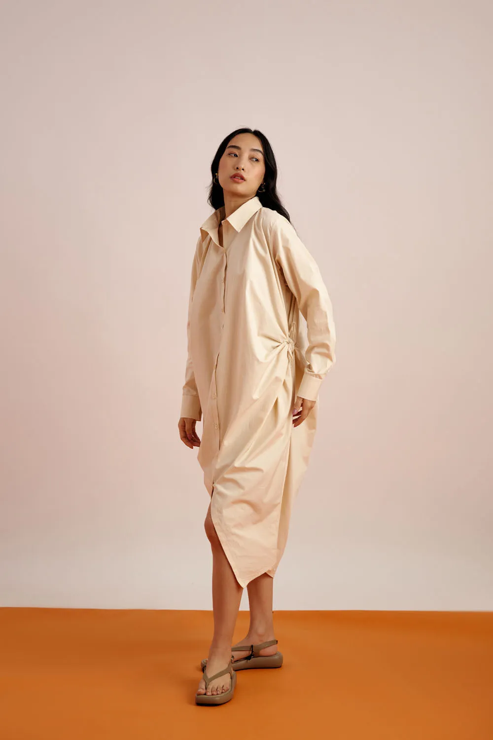 Beige Shirt Dress