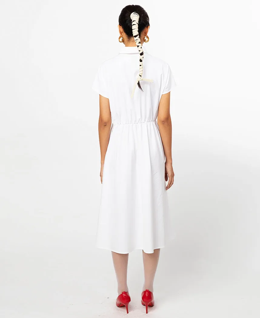 Curtain Dress