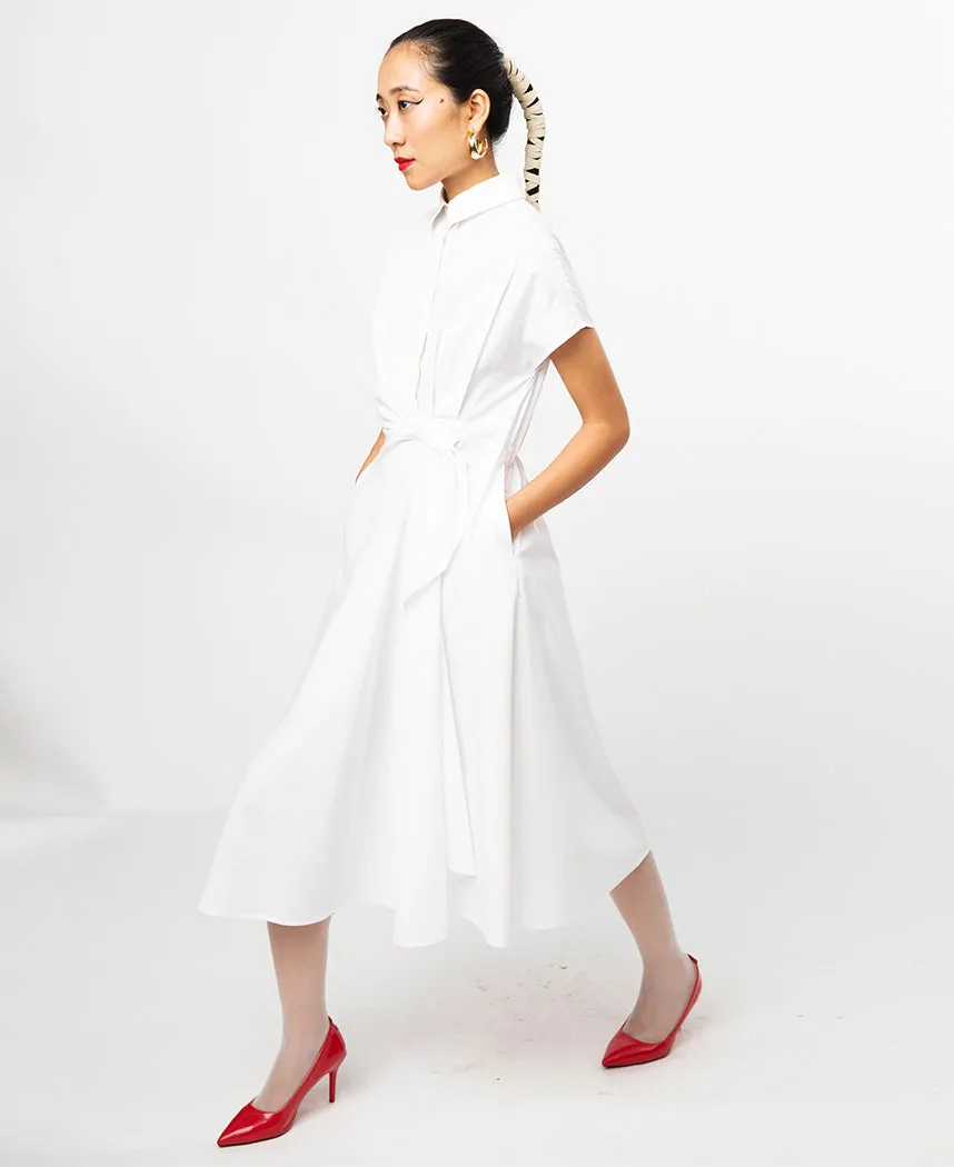 Curtain Dress