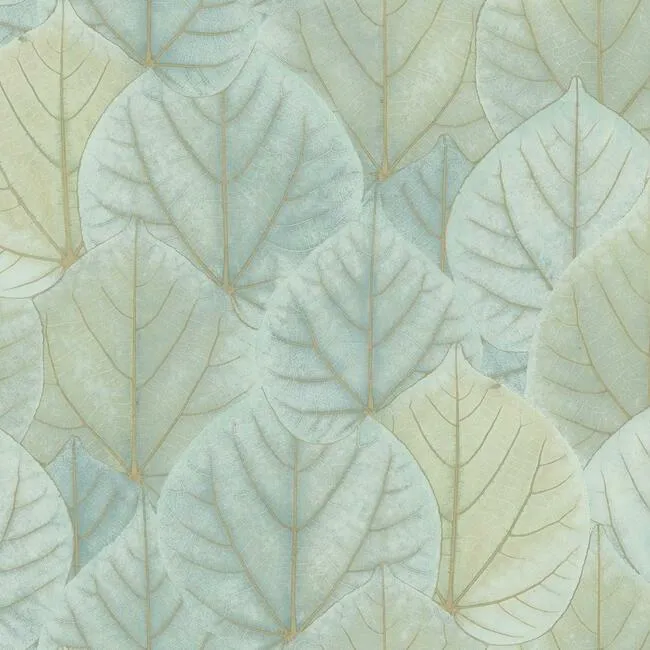 Leaf Concerto Wallpaper