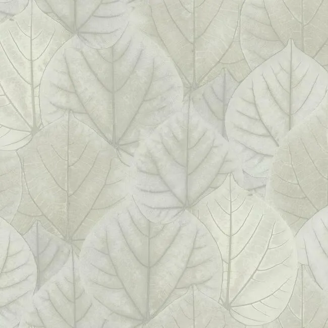 Leaf Concerto Wallpaper