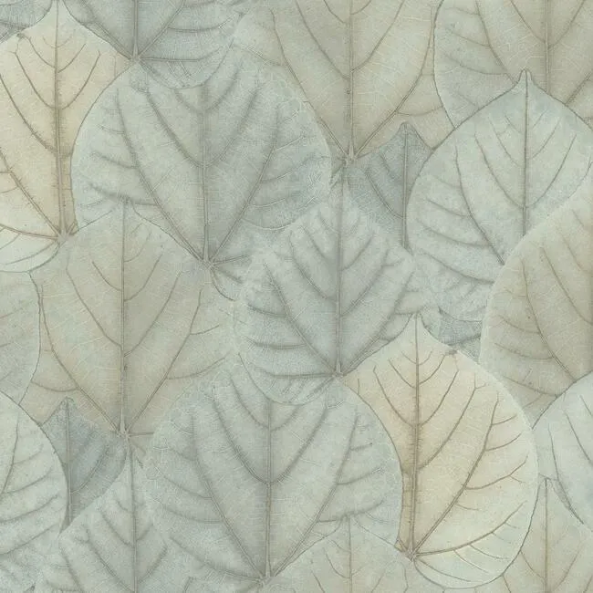Leaf Concerto Wallpaper