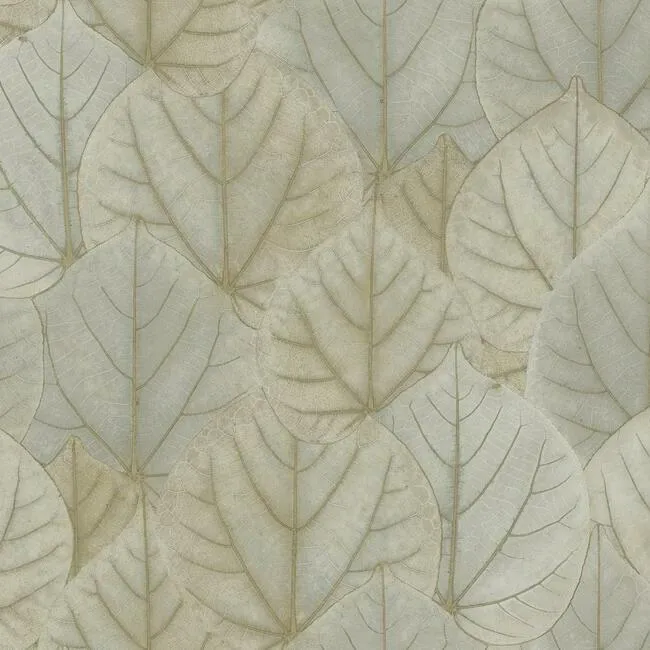 Leaf Concerto Wallpaper