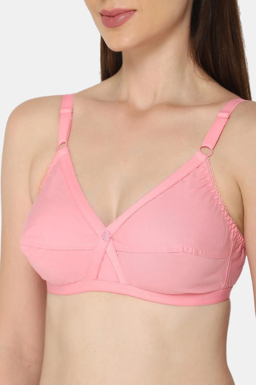 Naidu Hall Heritage-Bra Special Combo Pack - Cross - C67