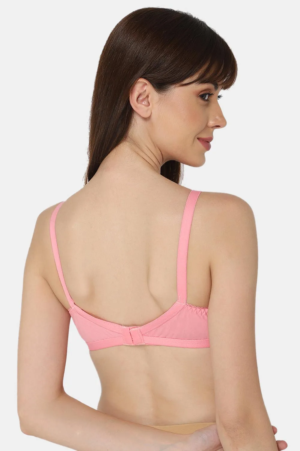Naidu Hall Heritage-Bra Special Combo Pack - Cross - C67