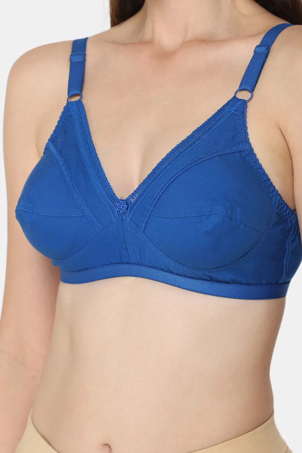 Naidu Hall Heritage-Bra Special Combo Pack - Naturalle - C43
