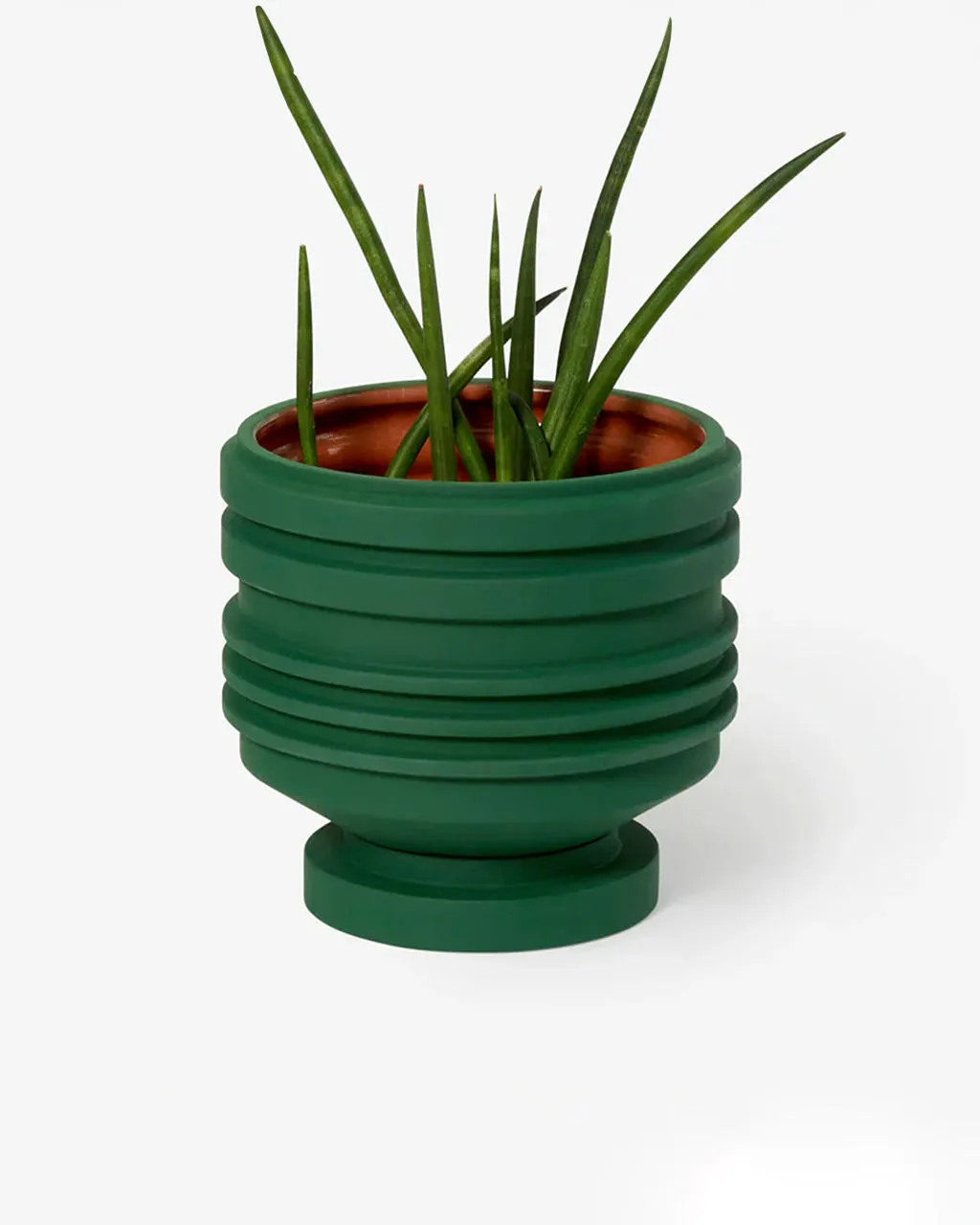 Strata Plant Vessel - Green
