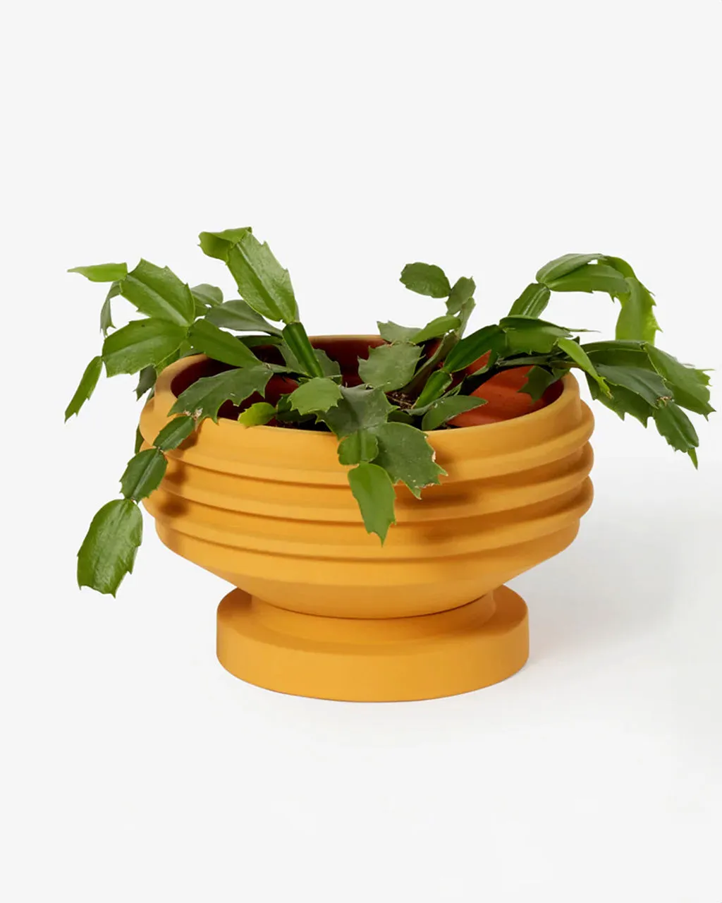 Strata Plant Vessel - Yellow