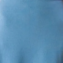Swift Skirt