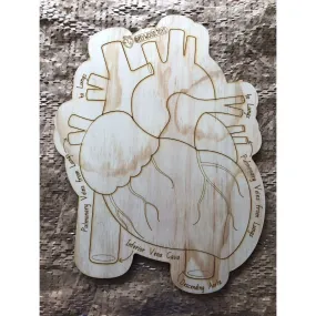 The Heart