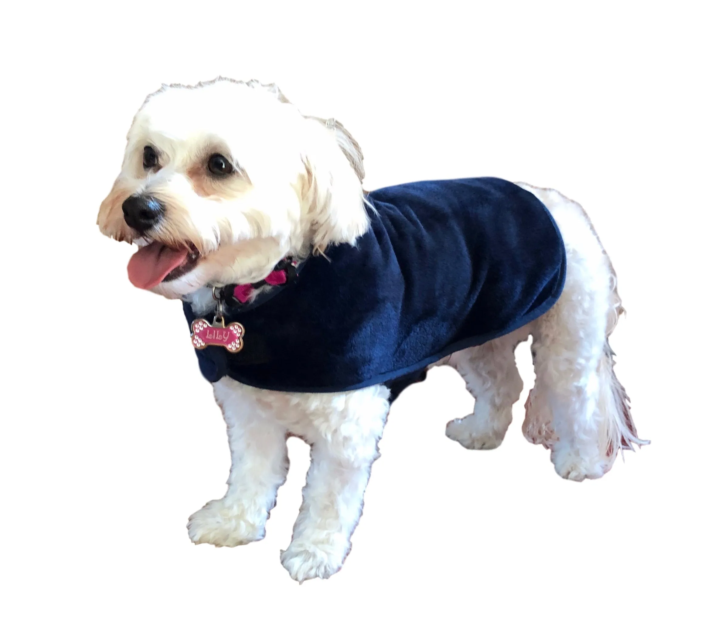 throwbee® Pet Poncho - Blue