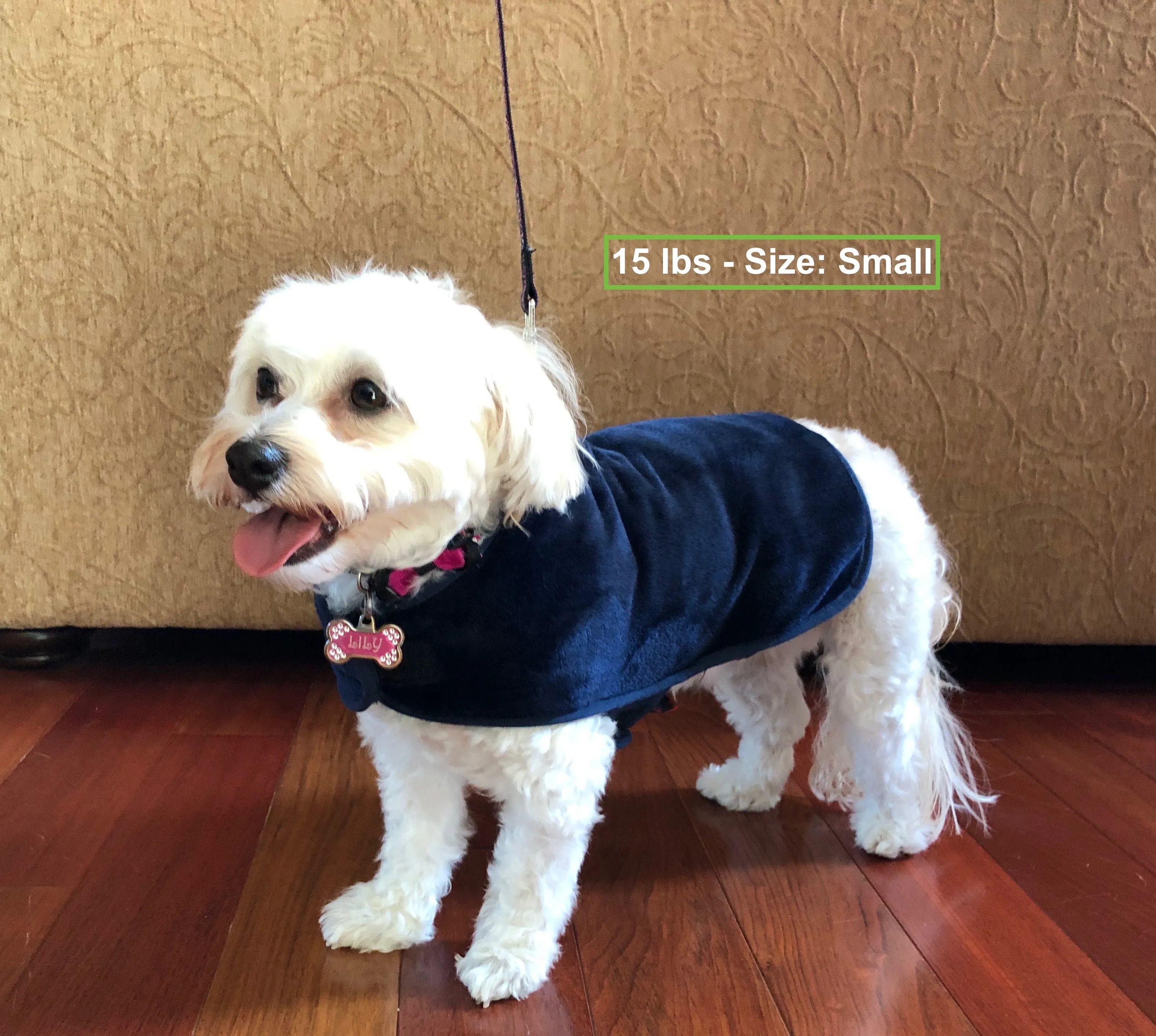 throwbee® Pet Poncho - Blue