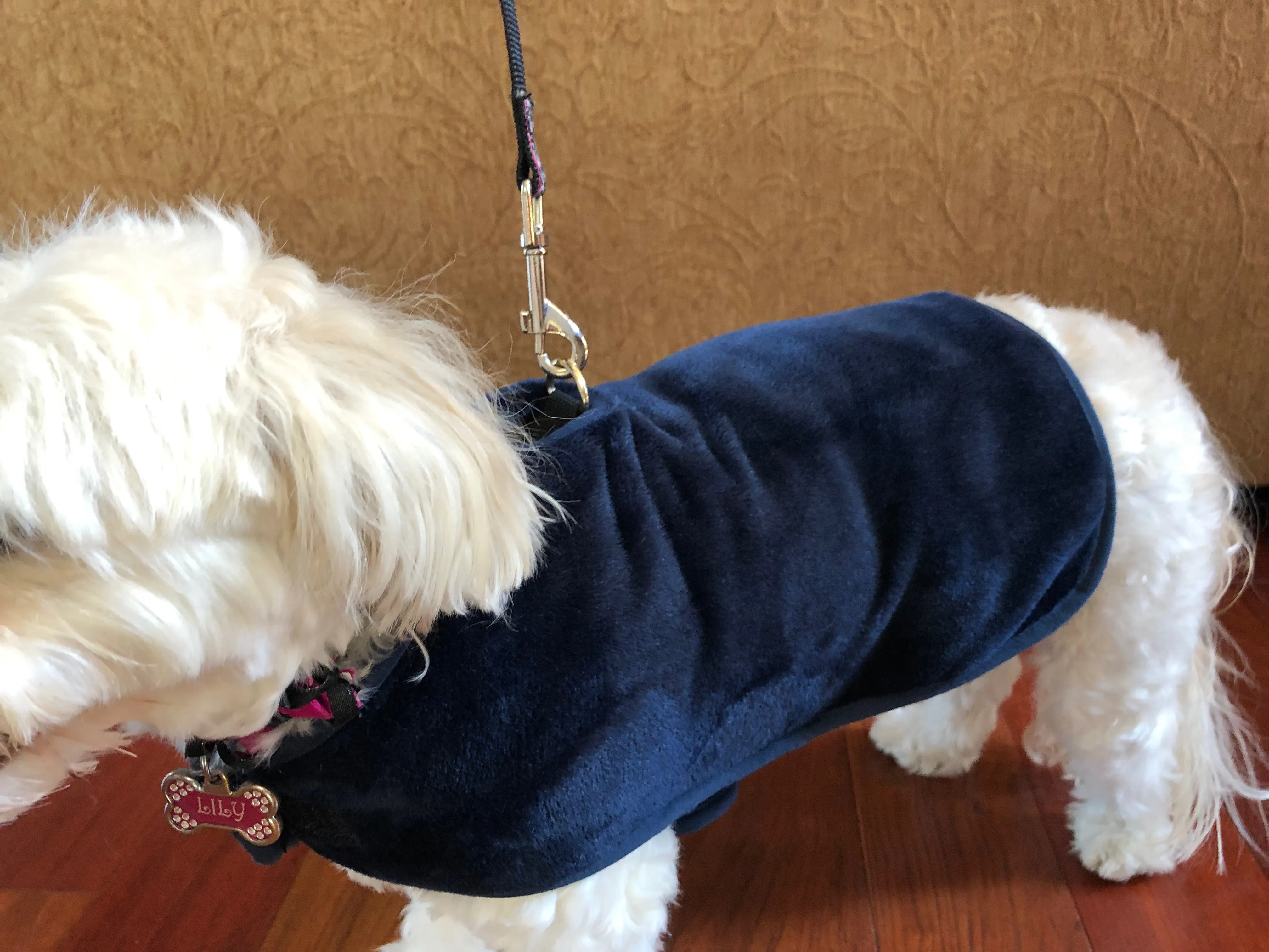 throwbee® Pet Poncho - Blue