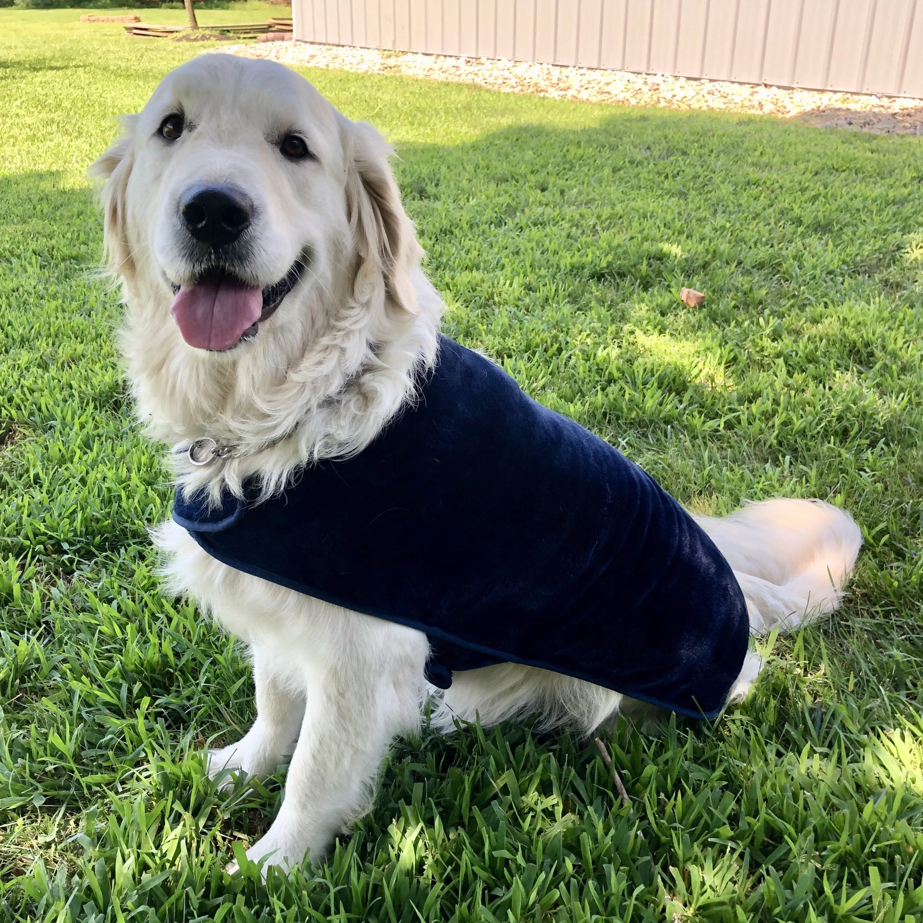 throwbee® Pet Poncho - Blue